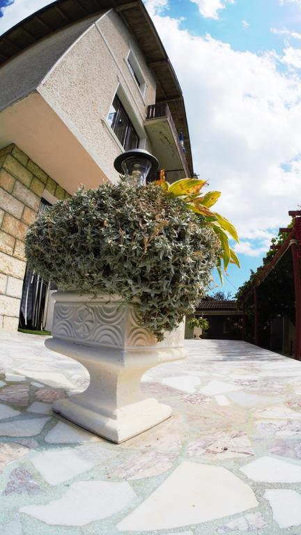 Hotel Atanasovi House Škorpilovci Exteriér fotografie